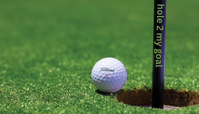 hole 2 my goal